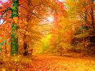 autumn